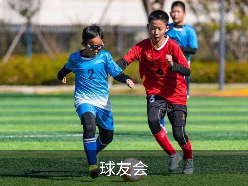 球友会概况